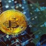 Bitcoin ATH Erfahrungen Profile Picture