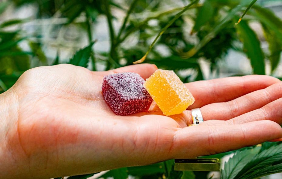 Planta CBD Gummies - CBD Hemp for Natural Relief, Sleep & Everyday Wellness!