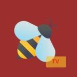 Beetv Profile Picture